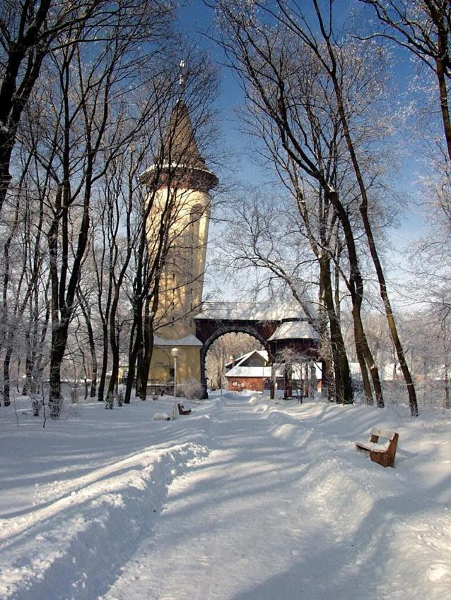 Buba * Palic